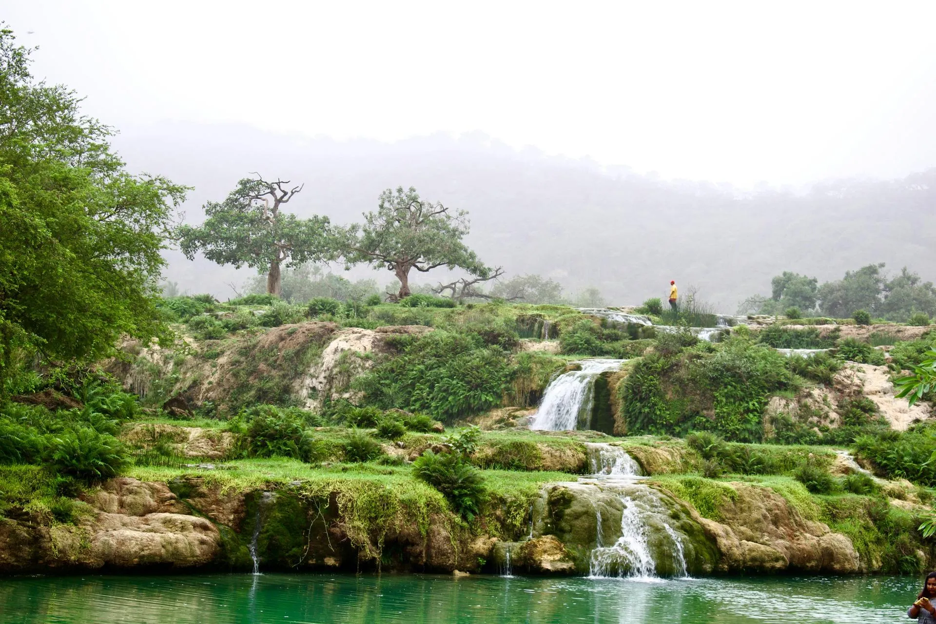 🇴🇲 Salala — Omanning yashil mo‘jizasi — $760 dan