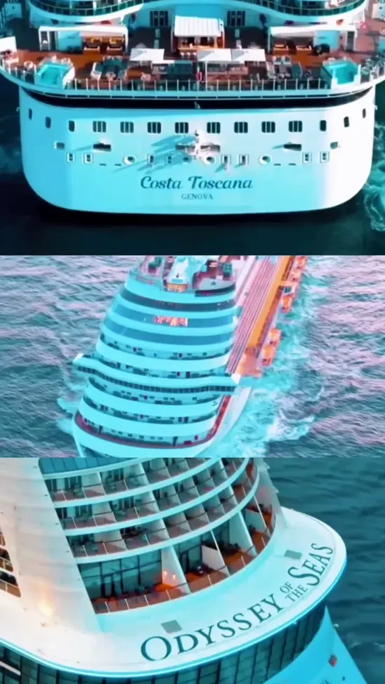 🌴🏖️ Karib Orollari bo‘ylab Kruiz 🛳️🐬 2